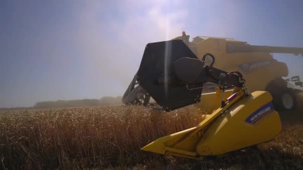 Tiro de una cosechadora que trabaja en un campo. Cosecha, trenzado y devanado de cultivos de granos. — Vídeos de Stock