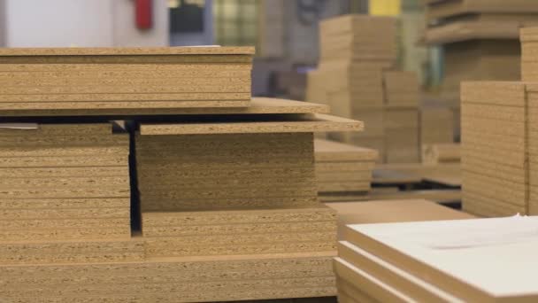 Mdf Boards Chipboards Storing Factory — Stock Video