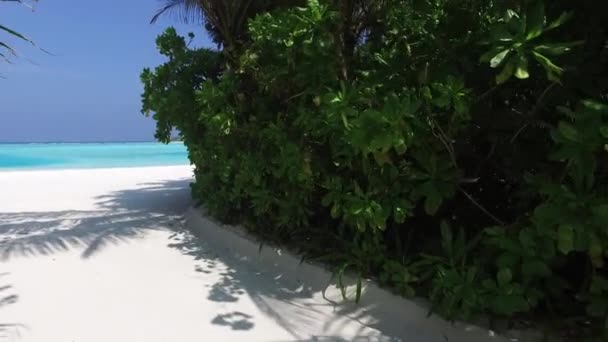 Zugang Zum Meer Strand Der Malediven — Stockvideo