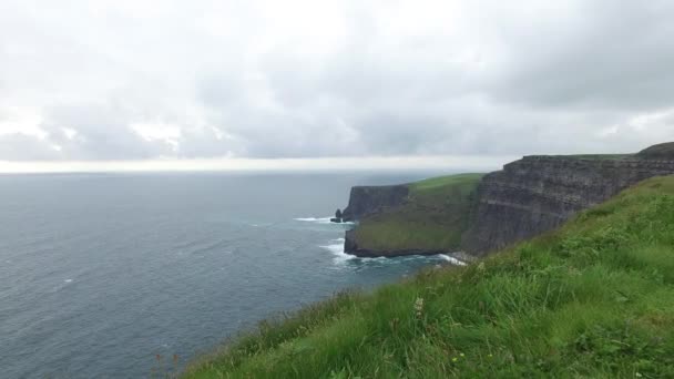 Scogliere Brughiera Oceano Atlantico Irlanda — Video Stock