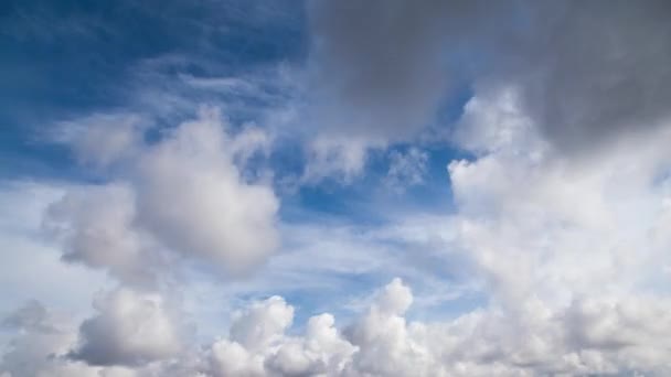 Video Cumulonimbus Cloud — Stock Video