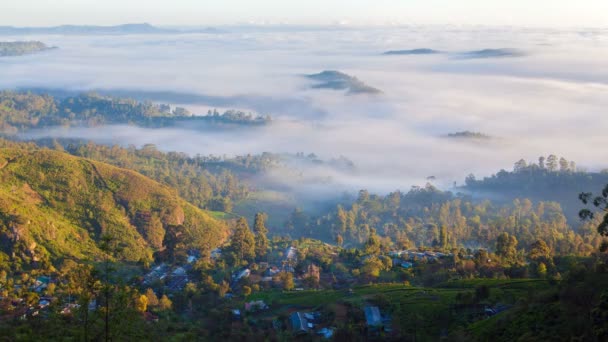 Niebla Mañana Pueblo Mañana Aérea — Vídeos de Stock