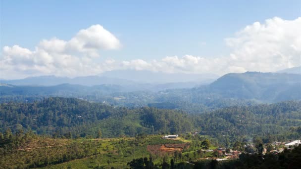 Mountain Forest Belt Aerial Landscape Sri — Stock Video
