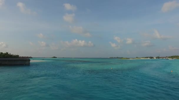 Maldivlerin Deniz Kıyısı Plajı — Stok video
