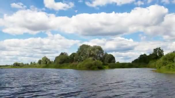 Zomer Bos Aan Oever Van Rivier — Stockvideo