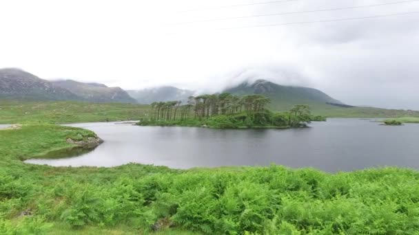 Blick Auf Insel See Oder Fluss Irland — Stockvideo