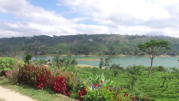 Vista Lago Fiume Colline Terra — Video Stock