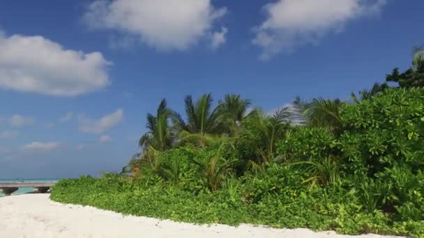 Дерев Яний Пірс Мальдівах Пляжний Морський Берег — стокове відео