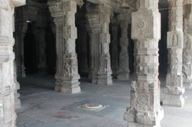 Hindistan, Tamil Nadu 'daki Hindistan tapınağındaki taş kolonlar.