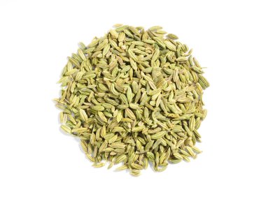 Beyaz arka planda Baharat Fennel (Foeniculum vulgare)