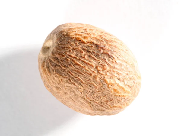 Nutmeg (Myristica vonans) na bílém pozadí — Stock fotografie