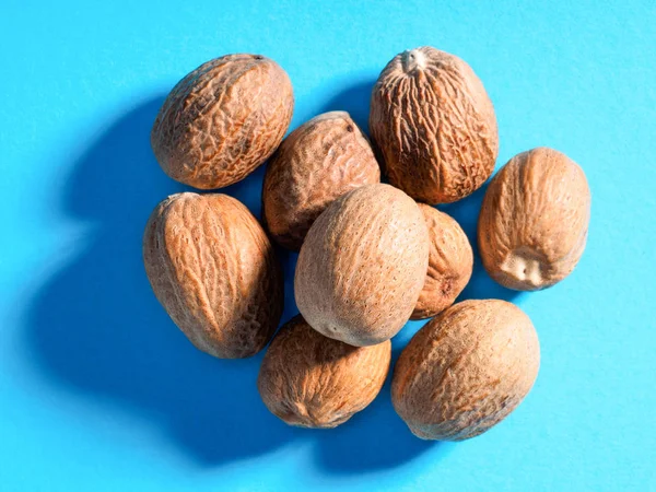 Nutmegs (Myristica fragrans) on a blue background — Stock Photo, Image