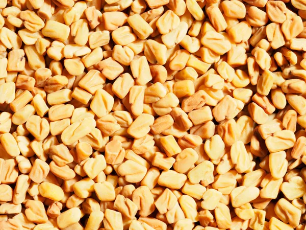 Fenugreek (Trigonetla) rempah-rempah sebagai latar belakang. Tutup. — Stok Foto