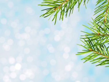 Çam ağacı dalları ve bulanık parlak bokeh. Kış tatili kavramı