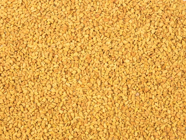 Bakgrund från Fenugreek. Indiskt kök ingrediens — Stockfoto