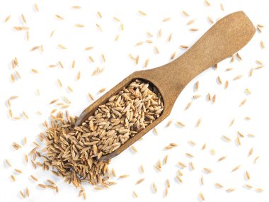 Kimyon tohumları (Cuminum), Jeera (ahşap kepçe içinde) beyaz bir sırt Grou üzerinde