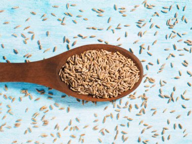 Kimyon tohumları (Cuminum), Jeera mavi bir ahşap kaşıkta 