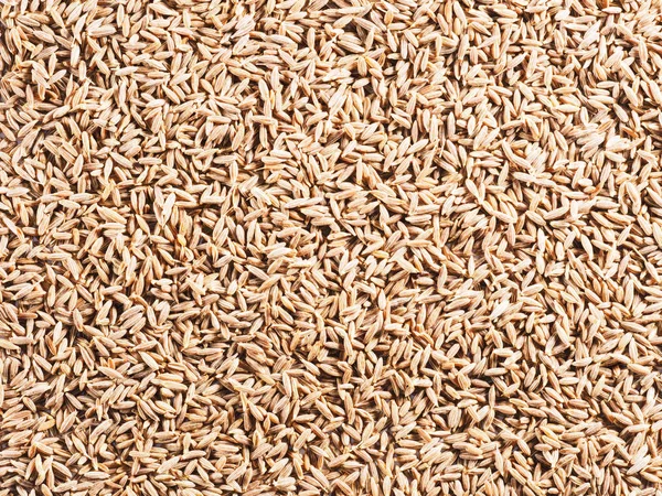 Antecedentes de sementes de cominho (C=), Jeera — Fotografia de Stock
