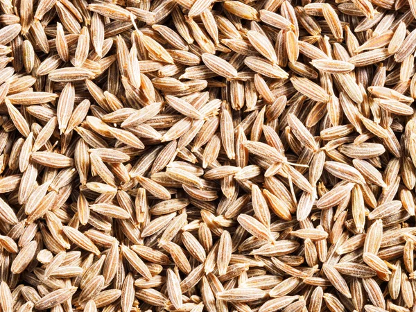 Cumin seeds (Cuminum), Jeera on a macro photo — Stock Photo, Image