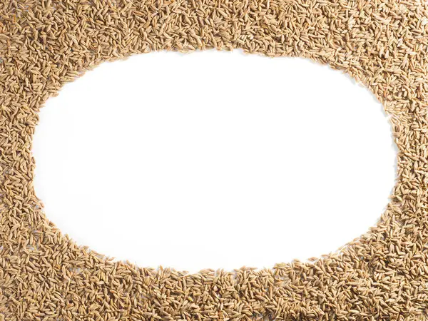 Espaço de cópia em branco oval no fundo de sementes de cominho (C=), Je — Fotografia de Stock