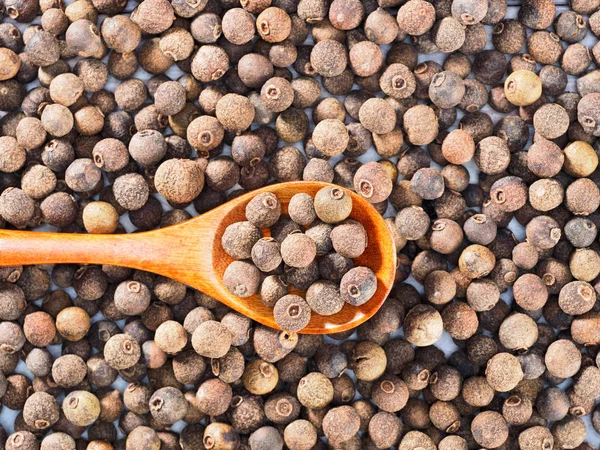 Allspice (Jamaica peper) in een houten lepel horizontaal — Stockfoto