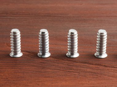 Kahverengi ahşap bir arka bahçeye dört gümüş renkli çelik vida seti.