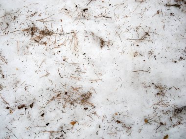 Kışın ormanda kar yağar