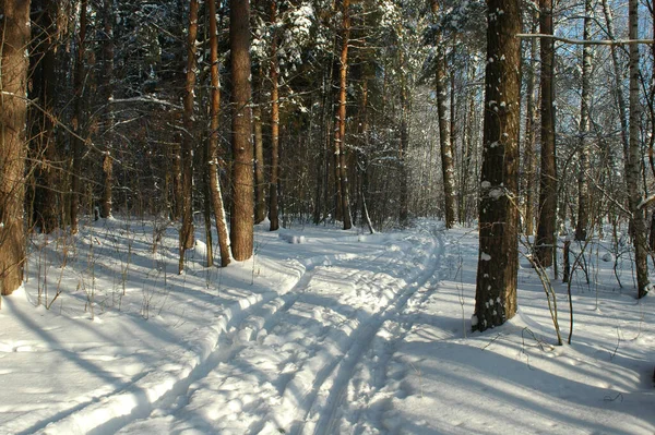 Winter Landscape Ski Track — Stock Photo, Image