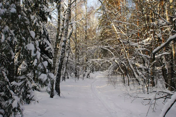 Winter Landscape Ski Track — Stock Photo, Image