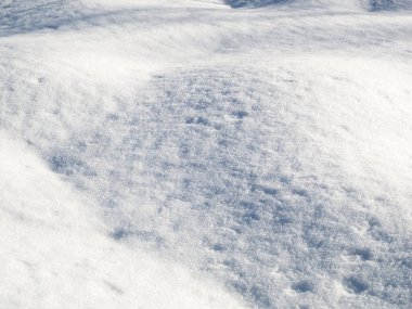 Kışın ormanda kar yağar