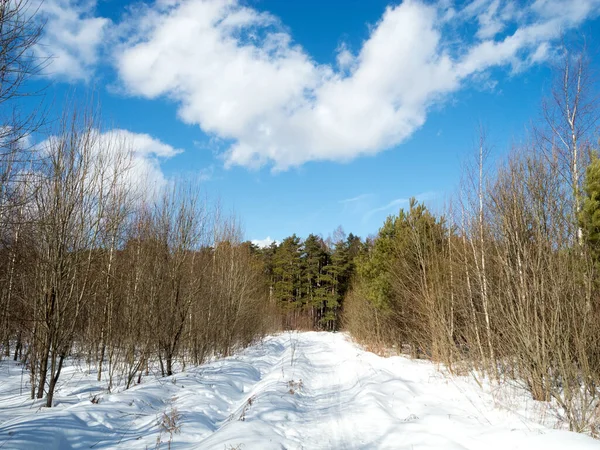 Зимний Пейзаж Фоне Голубого Неба — стоковое фото