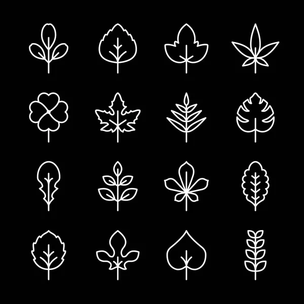 Set line icons of leaf — Stock Vector