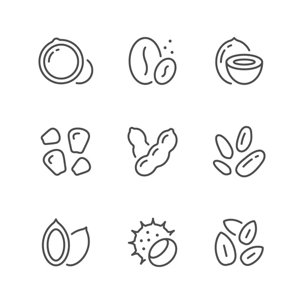 Establecer iconos de línea de frutos secos y semillas — Vector de stock