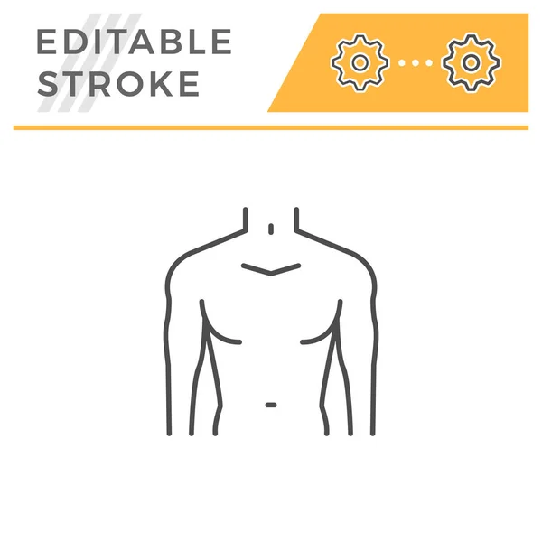 Male torso line icon — Stock Vector