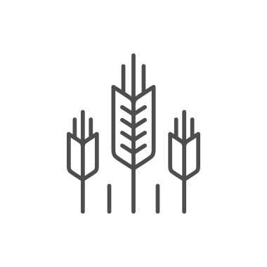 Buğday kulakları ana hatları simgesi