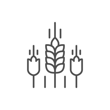 Buğday kulakları ana hatları simgesi