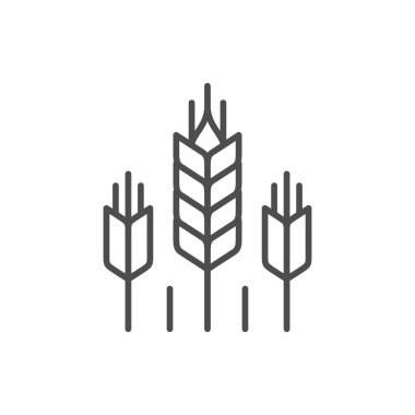 Buğday kulakları ana hatları simgesi