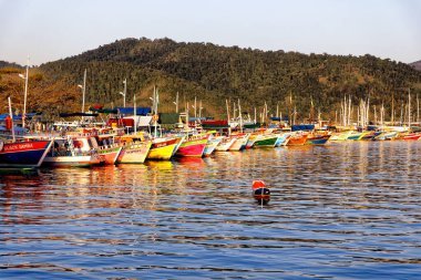 Paraty, Rio de Janeiro, Brezilya - 30 Temmuz 2018 - Paraty şehrinin iskelesinde tekneler.