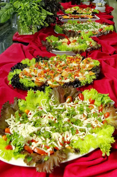Déjeuner Table Self Service Avec Salades Viandes Riz Poisson — Photo