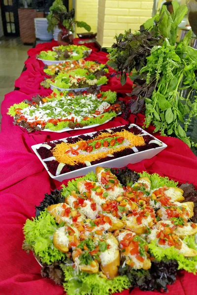 Déjeuner Table Self Service Avec Salades Viandes Riz Poisson — Photo