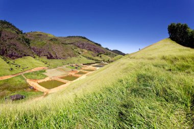 Dağlarda yeşil çay ve mavi gökyüzü