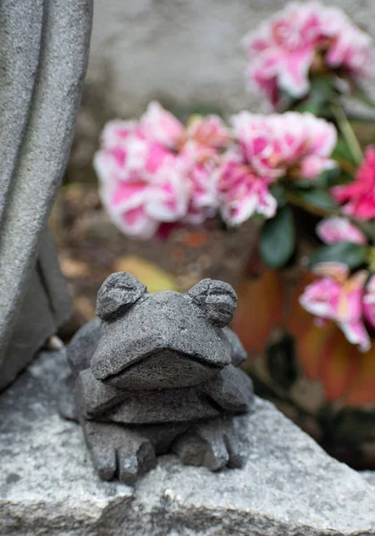 青蛙石灰花装饰手艺墨西哥传统的近照日光明智花园装饰动物 — 图库照片