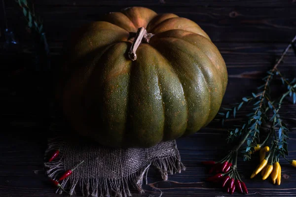 Natura morta di autunno con una zucca — Foto Stock