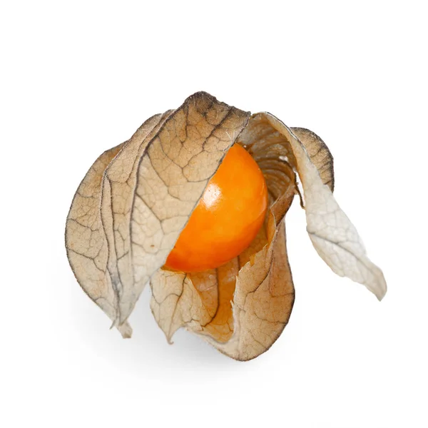 Physalis frukt isolerad på vit bakgrund — Stockfoto