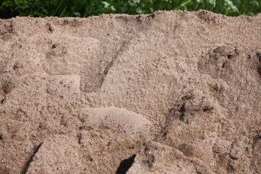 Parlak güneşte pürüzlü kum dokusu