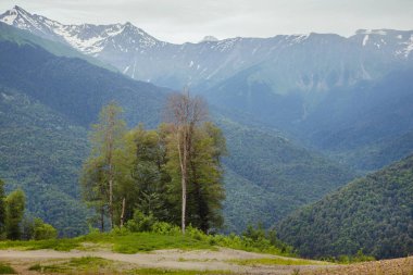 Kafkas dağları ile güzel doğal arka plan.