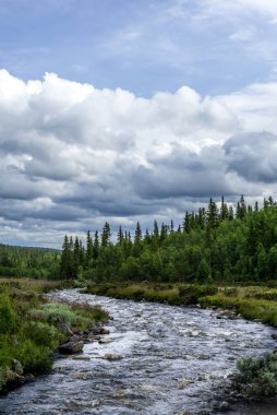 Rondane Ulusal Parkı 'ndaki ıssız bir vadide akan nehir. 