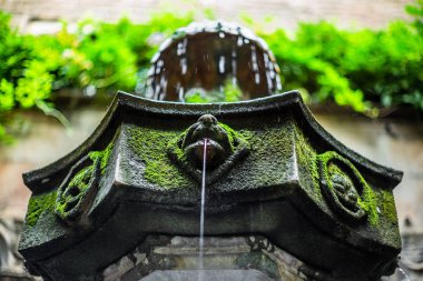 Barselona 'da yosun kaplı bir sokak çeşmesinin ayrıntıları 