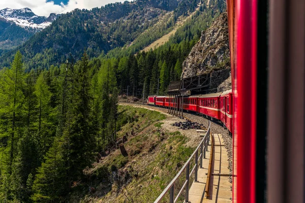 Kızıl tren İsviçre Alplerindeki Bernina Geçidi 'ne doğru yavaşça tırmanıyor. 