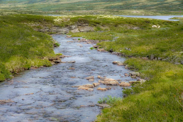 River flowing in the Rondane National park in Norway - 1 — Stock Photo, Image